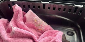 Патрульні поліцейські врятували в Тернополі кошеня