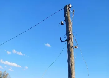 На Тернопільщині чоловік загинув, намагаючись перелізти через паркан