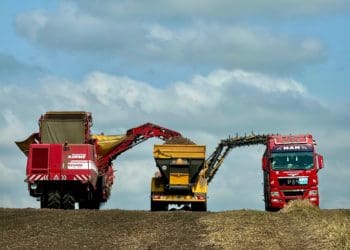 збір картоплі