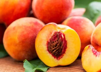 На Тернопільщині планують промислове вирощування персиків