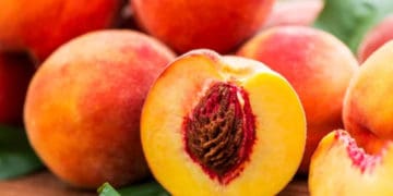 На Тернопільщині планують промислове вирощування персиків