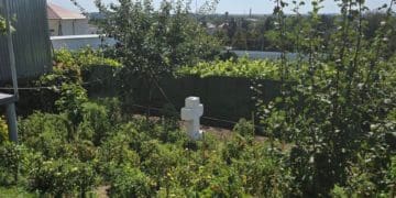 Помідори ростуть на могилі: Як в Почаївській лаврі на Тернопільщині підвищують урожайність
