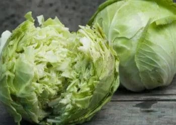 розтріскування капусти