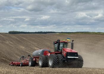 «Контінентал» почав сіяти озимі під урожай-2025