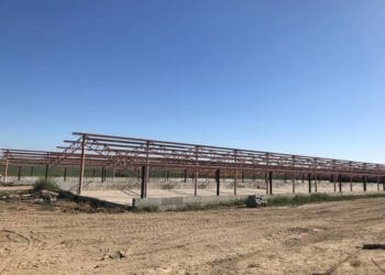 будівництво свинокомплексу у Росохуватці