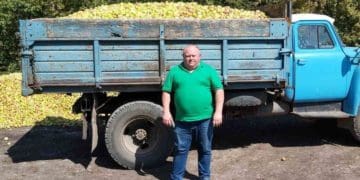 Жителі села Сільце на Тернопільщині збирали яблука, щоб допомогти ЗСУ