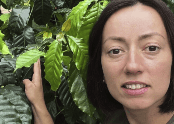 Родина з Тернопільщини почала вирощувати кавове дерево