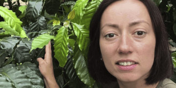 Родина з Тернопільщини почала вирощувати кавове дерево