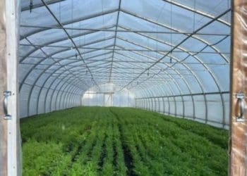 IT-шник з Тернопільщини створив розумну теплицю