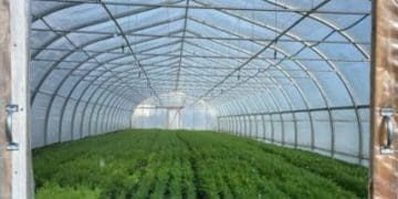 IT-шник з Тернопільщини створив розумну теплицю