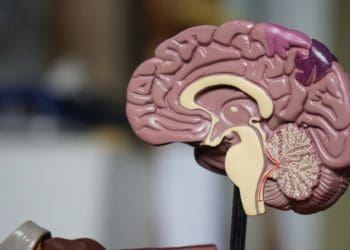 AD_4nXdPjFEkl0faExWnzrDHhE78XTdaZFAPEulW8tDgQJEh3gcU7GtVWmCwbQ4K5IFjRXW1M7yEQy_4Lx5uYmzA1uVrX2VlyfkbjYEp0g4kY1_eYNRP0o5KWePuecgCFGf85UQMAoCMkmp7_Z3URgWZj0V_Mqa4?key=-fcovyrY4IxcWOxeWU-iuw