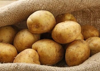 зберігання картоплі