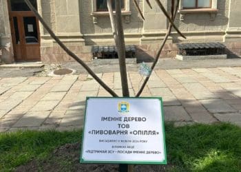 У центрі Тернополя ростуть іменні дерева «Опілля», донати за які підуть на ЗСУ