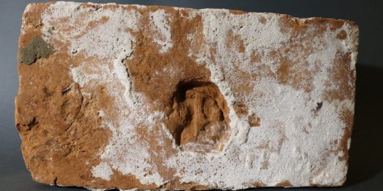 Унікальна виставка старовинної цегли відкрилася у Кременці