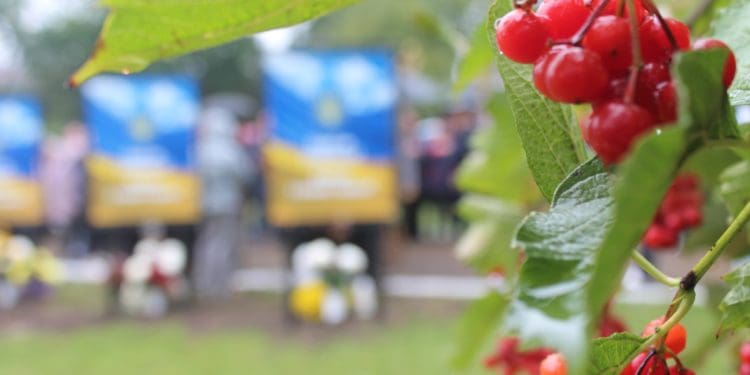 “Щоб ми жили”: на Тернопільщині вшанували загиблих захисників