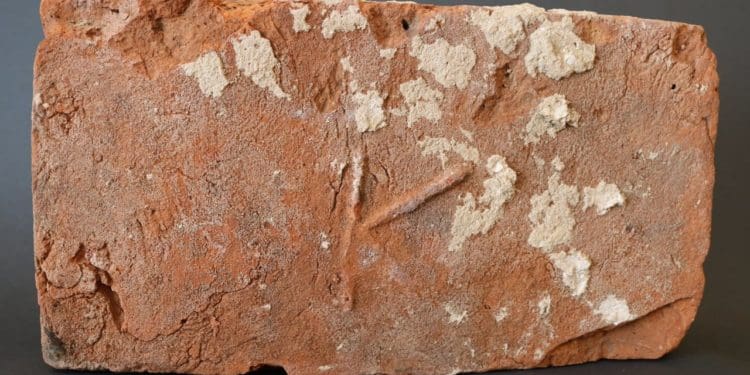 Унікальна виставка старовинної цегли відкрилася у Кременці