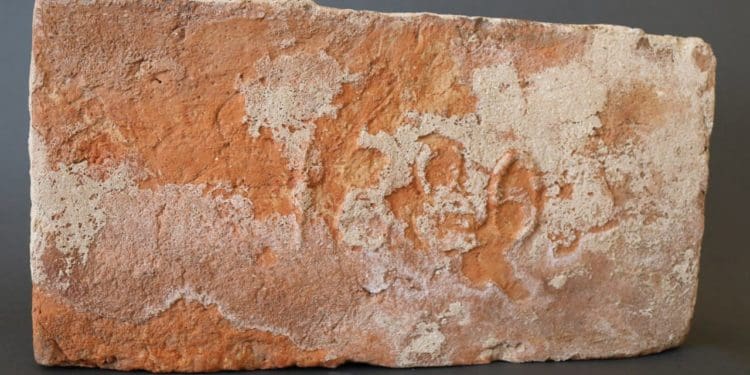 Унікальна виставка старовинної цегли відкрилася у Кременці