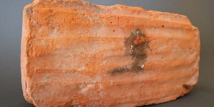 Унікальна виставка старовинної цегли відкрилася у Кременці