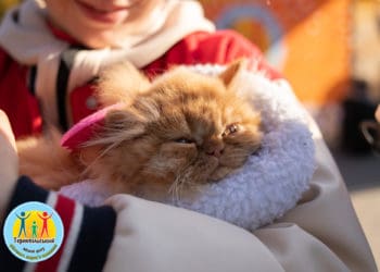 забіг "ВусоЛапоХвіст"