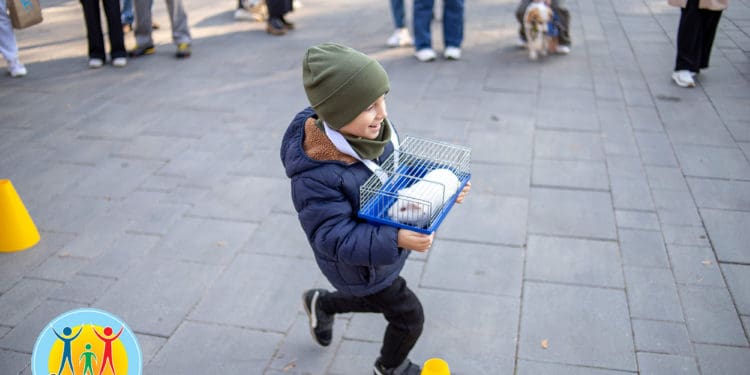 У Тернополі відбувся перший забіг “ВусоЛапоХвіст” з домашніми улюбленцями