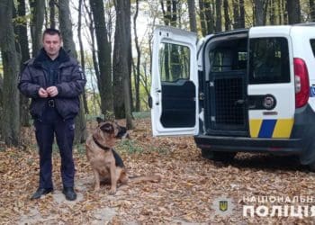 пошукова операція