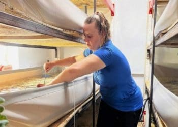 Багатодітна мати з Тернопільщини відкрила за грантові гроші ферму раків