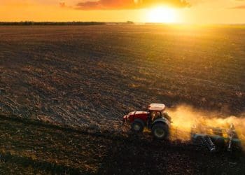 посівами озимих