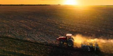 посівами озимих