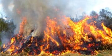 спалювання сміття