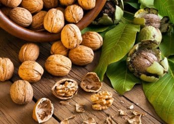 волоські горіхи