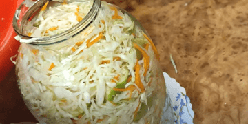 квашена капуста