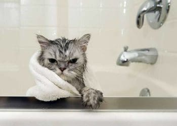 відключатимуть подачу холодної води