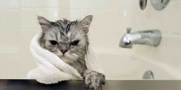 відключатимуть подачу холодної води