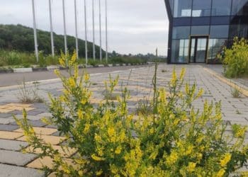 “Балансоутримувача не визначили”: Тернопільська ОВА відповіла на запит журналістів про завершення будівництва водної арени