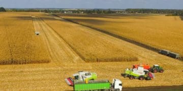 ПАП “Агропродсервіс” – третє підприємство з Тернопільщини, яке отримало статус АЕО