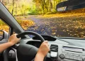 Чим може нашкодити автомобілю осіннє листя