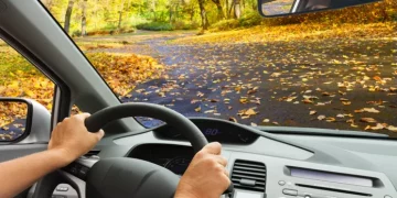 Чим може нашкодити автомобілю осіннє листя