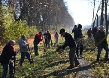 Тринадцять громад стали новими учасниками «Марафону лип» від «Контінентал»