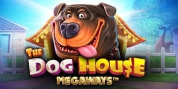 Мегавейс: нова ера слотів з мільйонами виграшних комбінацій