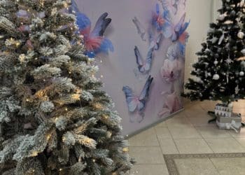 Народження Спасителя нагадує нам про велич життя і його найцінніший дар – дітей