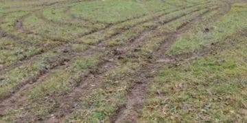 пошкодили покриття