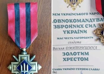 Василя Дмитришина