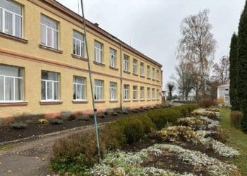 відсторонення директорки