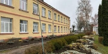 відсторонення директорки