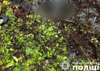На Тернопільщині знайшли тіло зниклого пенсіонера