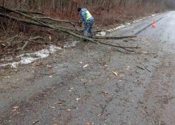 Сильний буревій наробив лиха на дорогах Тернопільщини