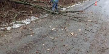 Сильний буревій наробив лиха на дорогах Тернопільщини