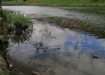 Громаді на Тернопільщині повернули 6,4 га землі зі ставками