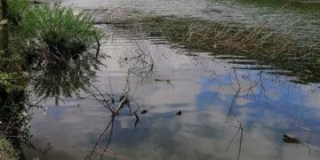 Громаді на Тернопільщині повернули 6,4 га землі зі ставками