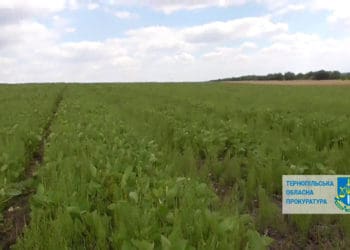 Прокуратура вимагає повернути громаді землю заповідного фонду вартістю 250 тис. грн